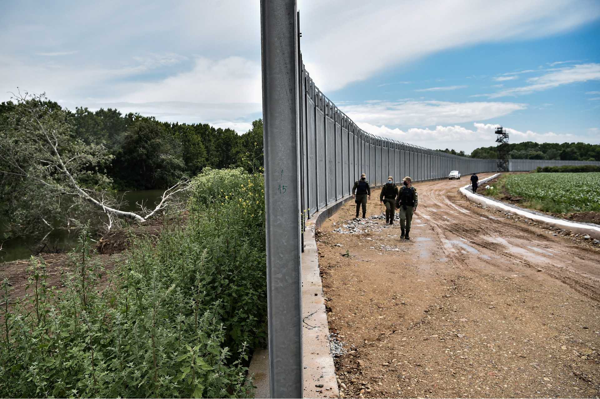 Can the Iron Curtain Be Green? Europe’s nature is being divided by fences and fortifications