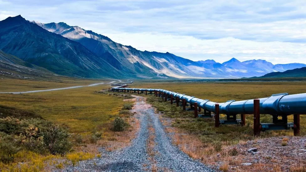 Gas intrigues: Pipelines, nature reserves, NGOs and the war