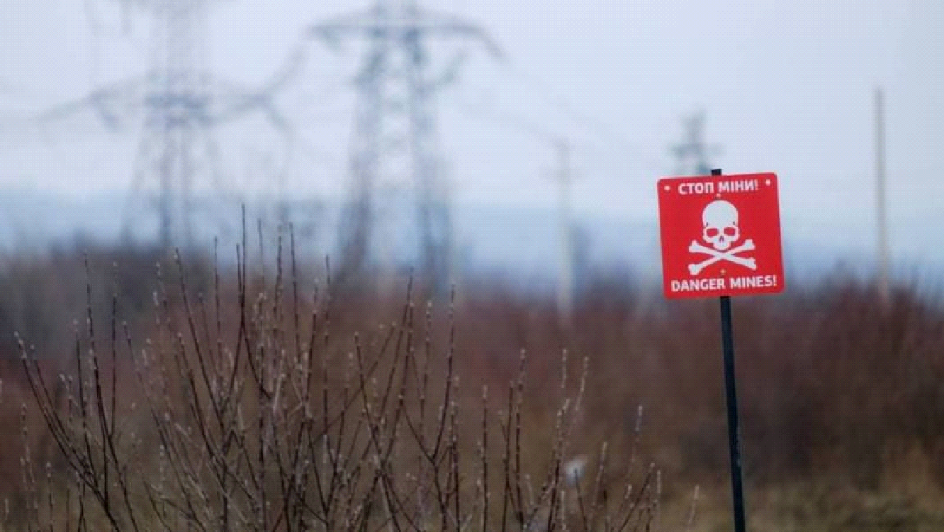 Danger! Mines! The terrible environmental and human cost of Ukraine’s minefields