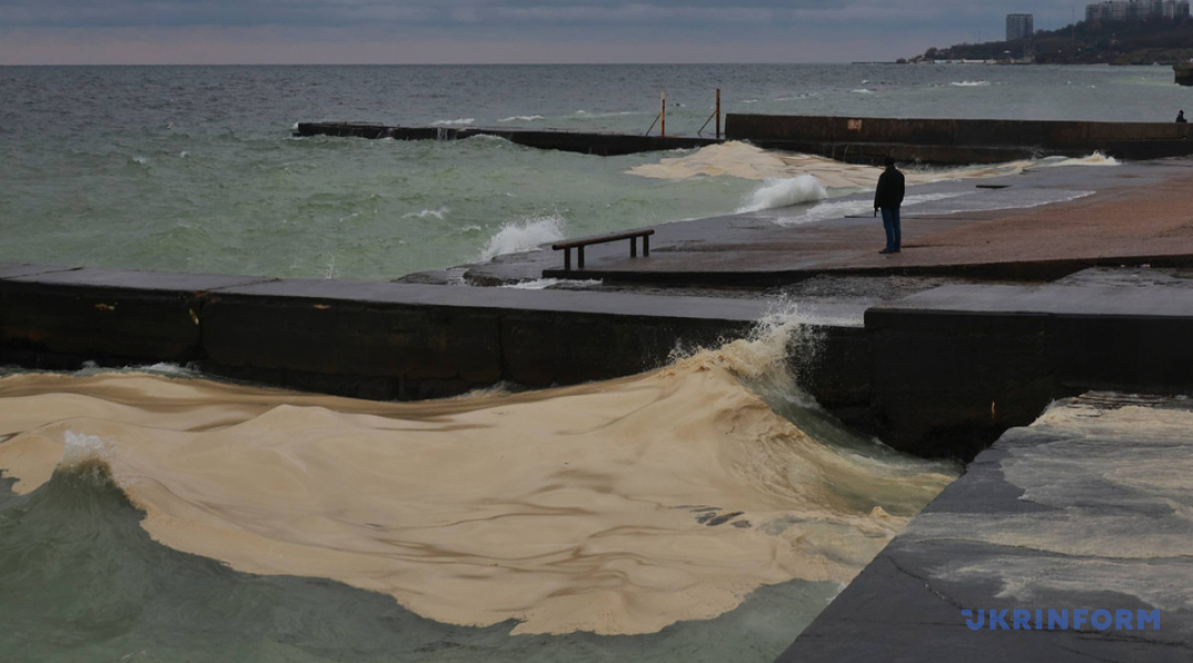 sunflower oil spills