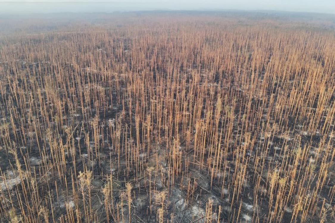 Environmental consequences of the war in Ukraine: Dec 2025 – February 2026 review