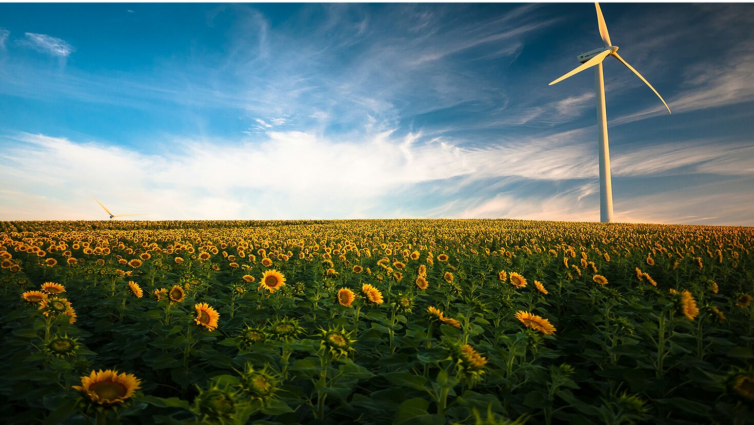 Blind restoration: What lessons do other countries have for Ukraine’s green recovery?